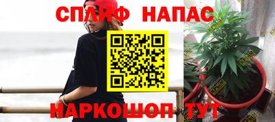 сатива Гусь-Хрустальный
