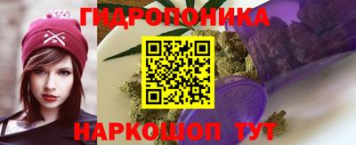 сатива Гусь-Хрустальный
