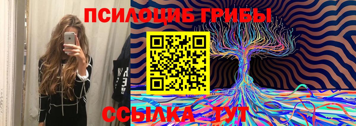 Галлюциногенные грибы Cubensis  Вход с VPN  Псилоцибиновые грибы MAGIC MUSHROOMS  Мариинск 
